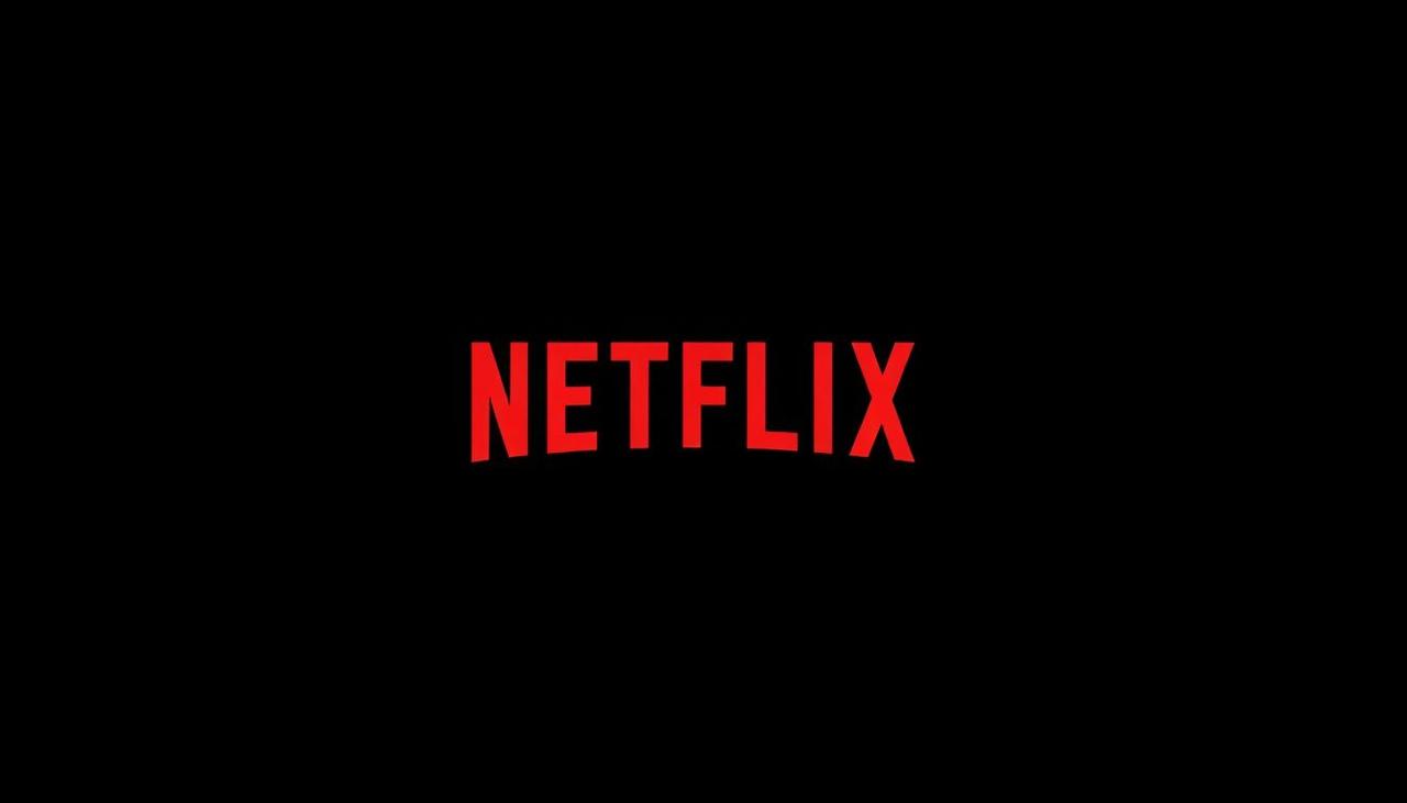 Netflix - 大象视频合作伙伴